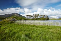 Connemara Walking Tour 7 days