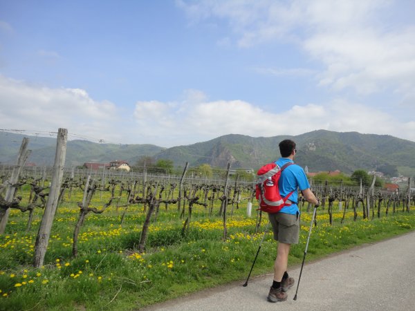 5 Day World Heritage Trail Wachau