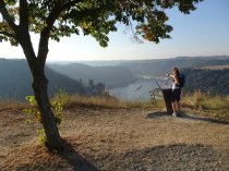 11 Day Tour Rhine Walking: Mainz - Koblenz