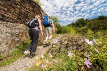 8 Day Moselle & Eifel Trail