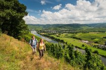 6 Day Moselle & Eifel Trail